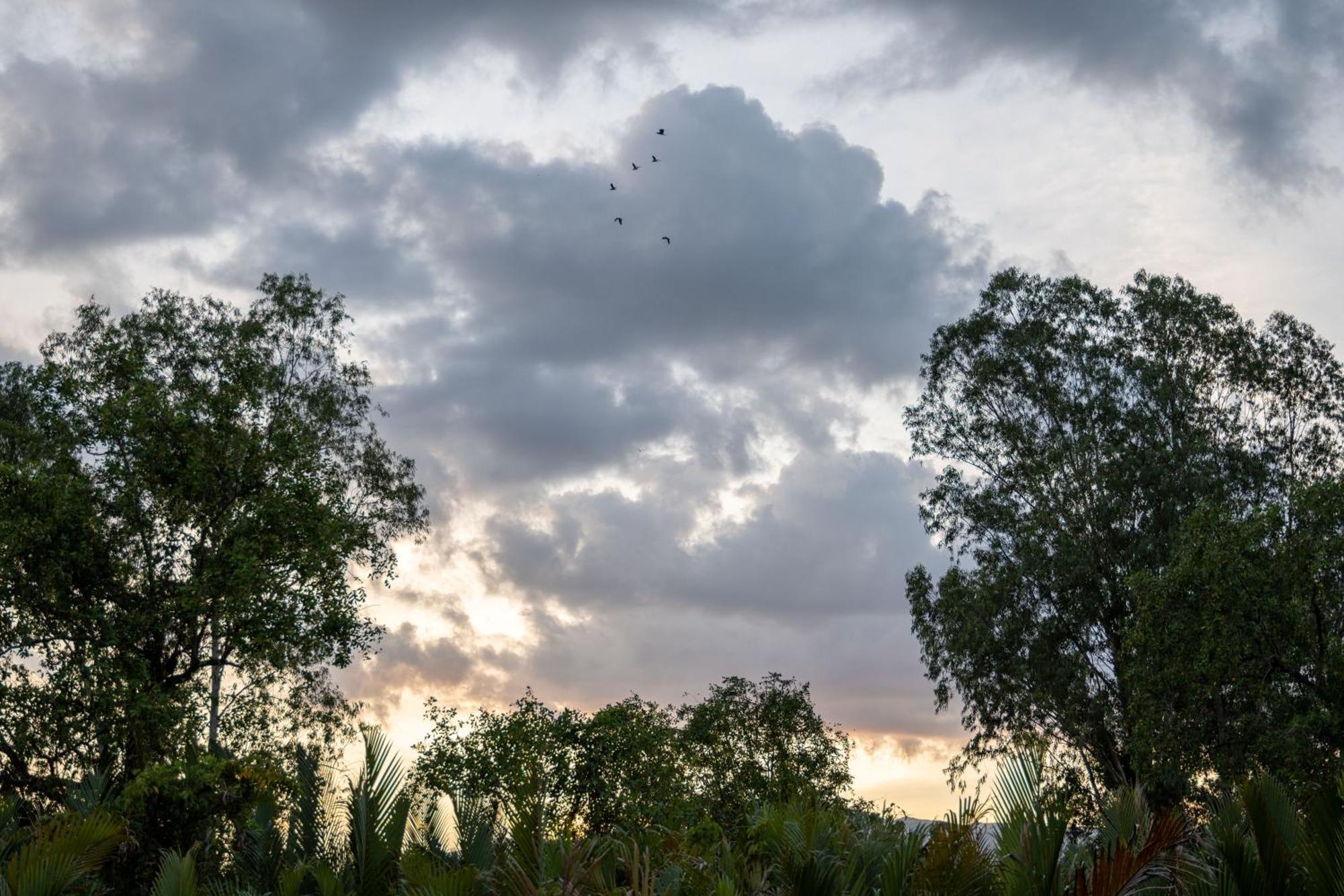 Kampot Eco Village Buitenkant foto